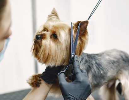 Zhangjiagang Huaxu Hairdressing Tools Co., Ltd.